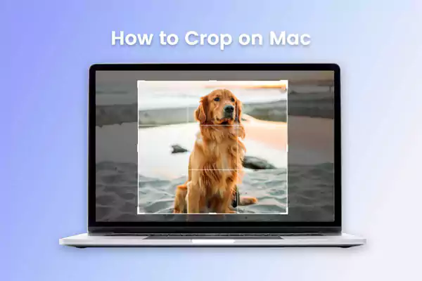 Crop An Image On Mac
