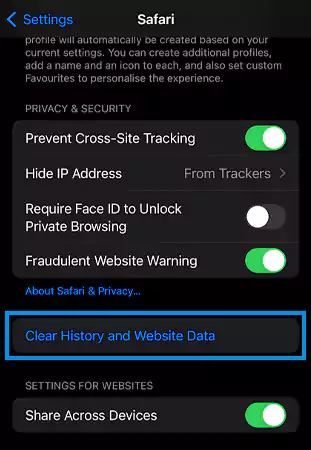 Tap on Clear History and Website Data