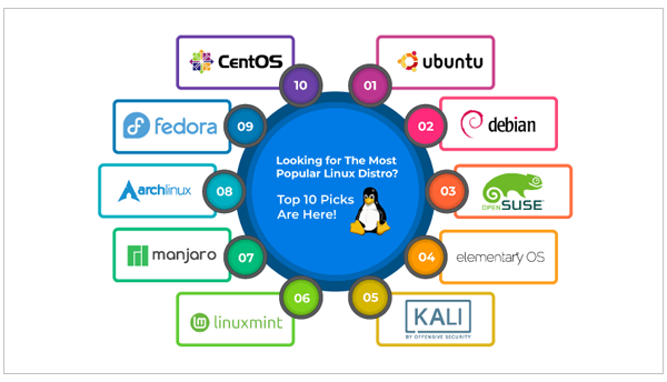 Popular Linux Distributions