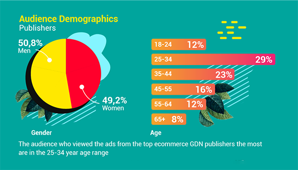 audience demographics publishers