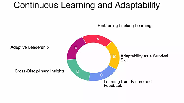 Adaptability and Continuous Learning