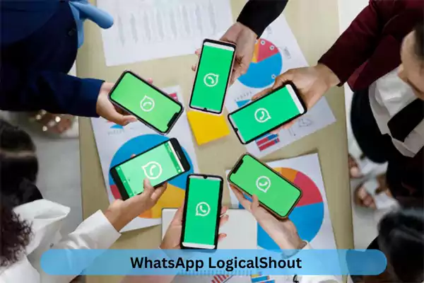 whatsapp logicalshout