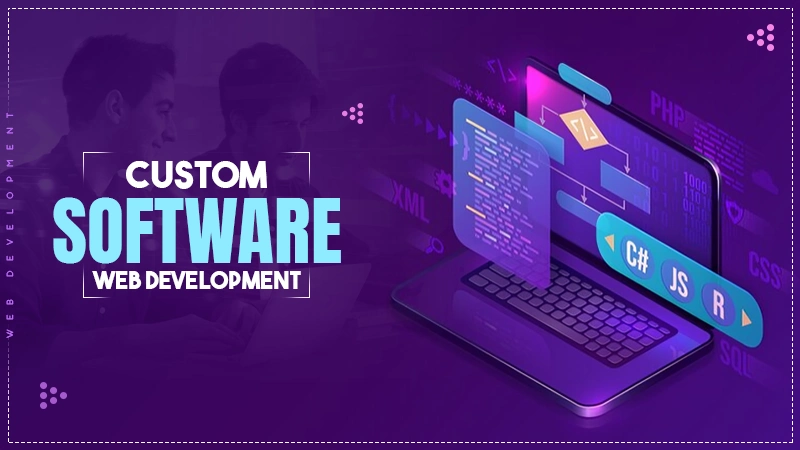 best custom software web development solutions