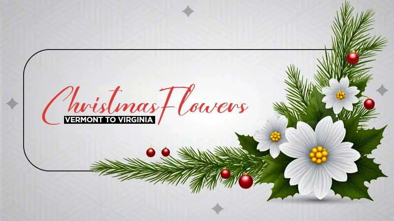 christmas flowers vermont to virginia