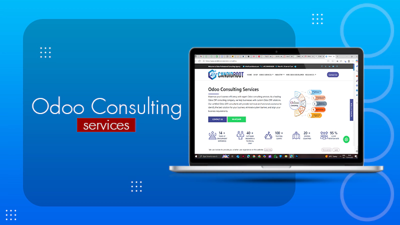 Odoo consulting services